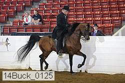 14buck_0125 proof