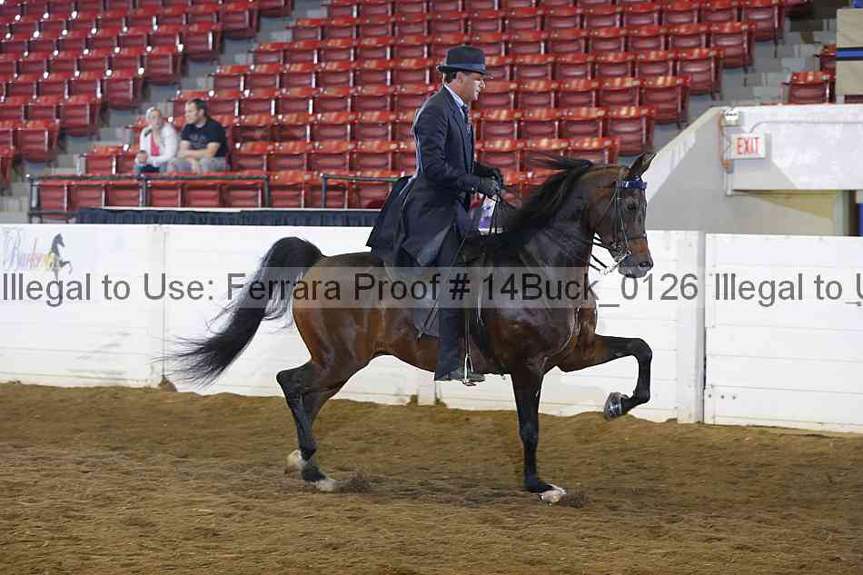 Proof 14buck_0126