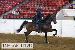 14buck_0126 proof