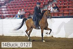 14buck_0127 proof
