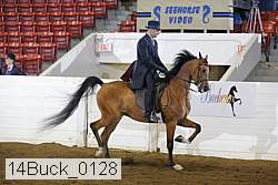 14buck_0128 proof