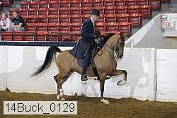 14buck_0129 proof