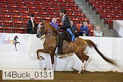 14buck_0131 proof
