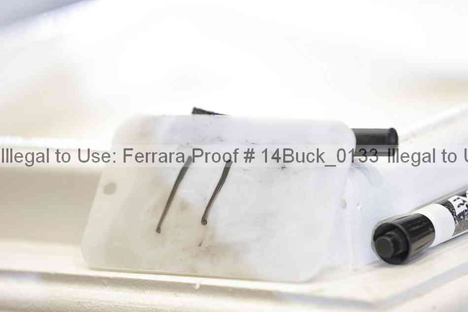 Proof 14buck_0133
