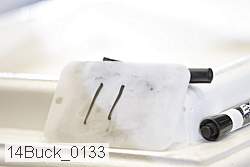 14buck_0133 proof