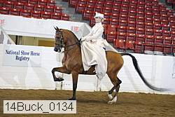 14buck_0134 proof