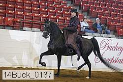 14buck_0137 proof