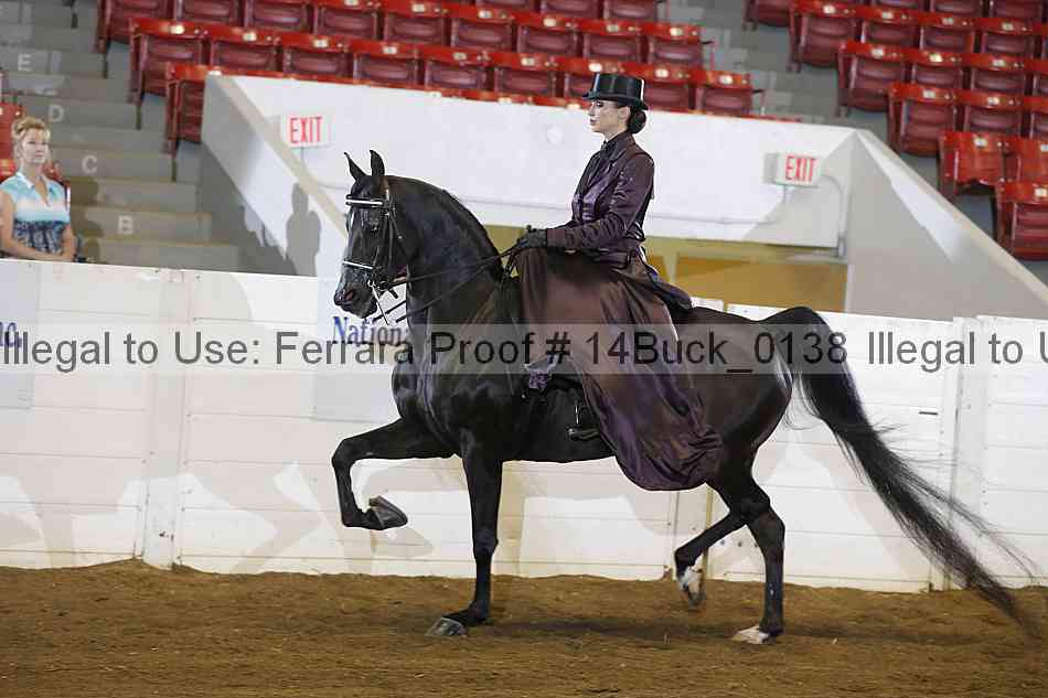 Proof 14buck_0138