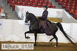 14buck_0138 proof
