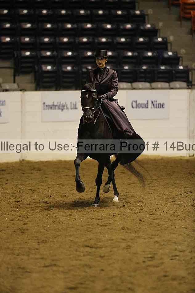 Proof 14buck_0139