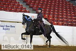 14buck_0142 proof