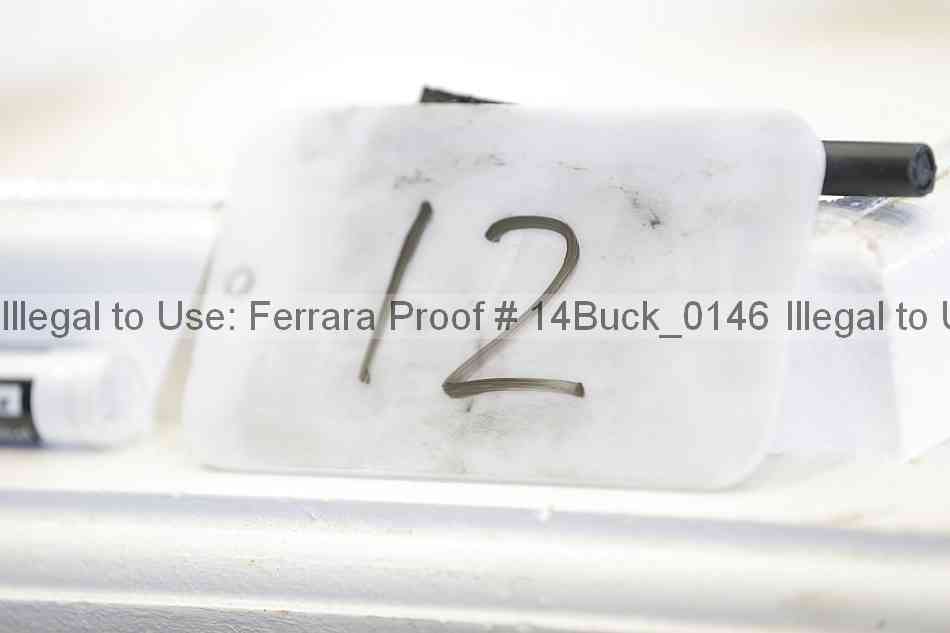 Proof 14buck_0146