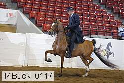 14buck_0147 proof
