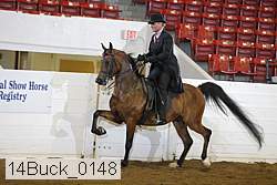 14buck_0148 proof