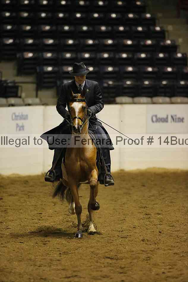 Proof 14buck_0149