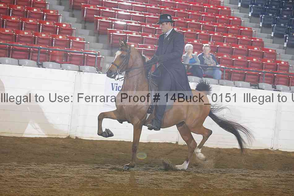 Proof 14buck_0151