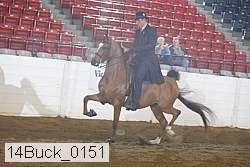 14buck_0151 proof
