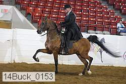 14buck_0153 proof