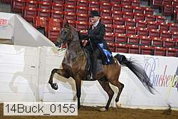 14buck_0155 proof