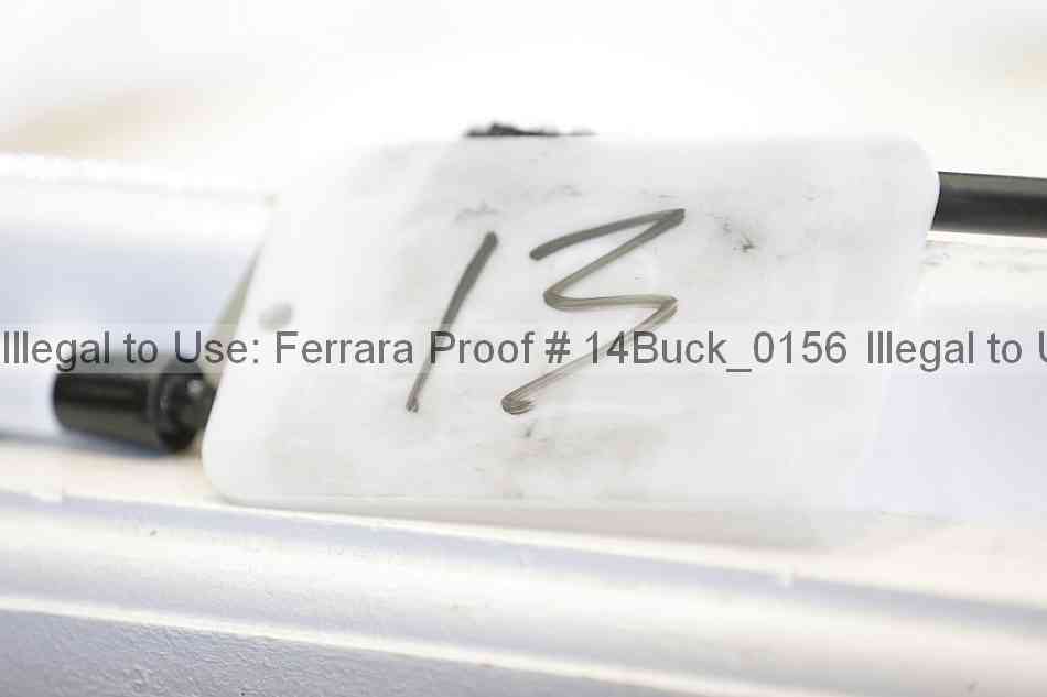 Proof 14buck_0156
