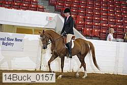 14buck_0157 proof