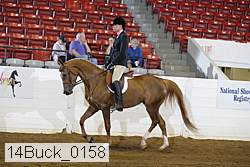 14buck_0158 proof