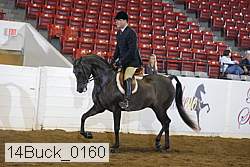 14buck_0160 proof