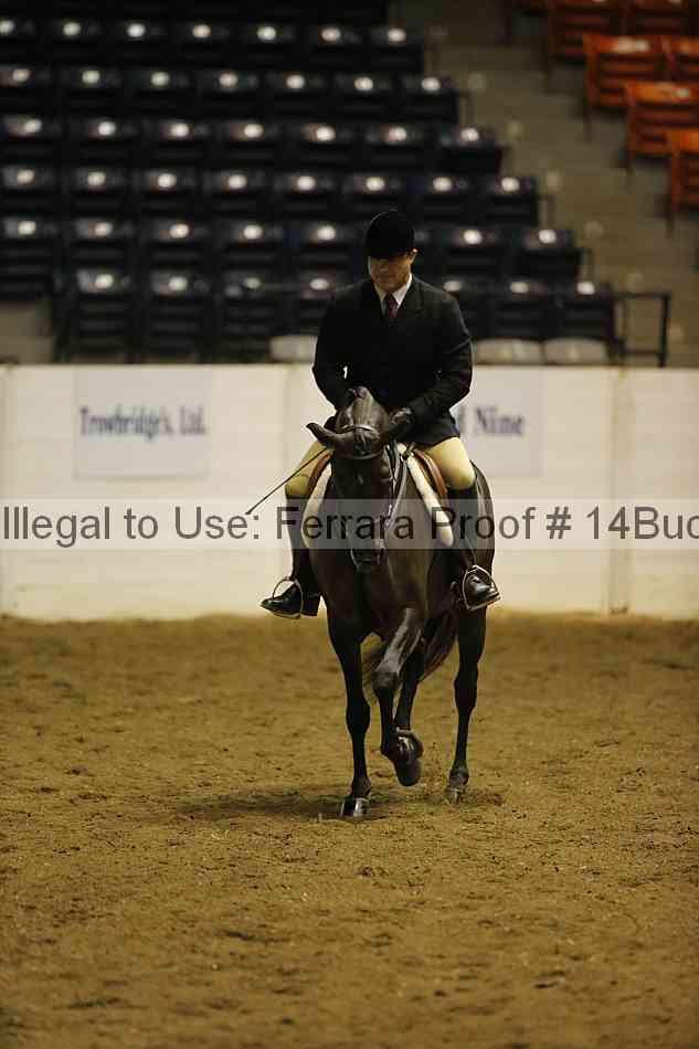 Proof 14buck_0161