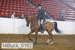14buck_0162 proof