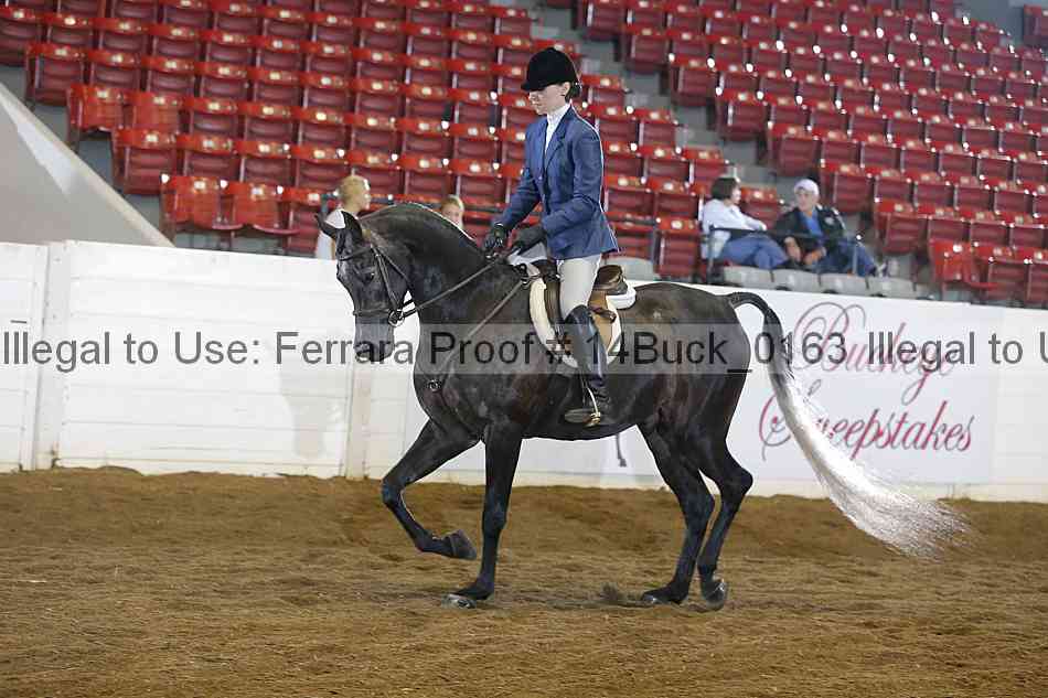 Proof 14buck_0163