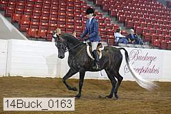14buck_0163 proof