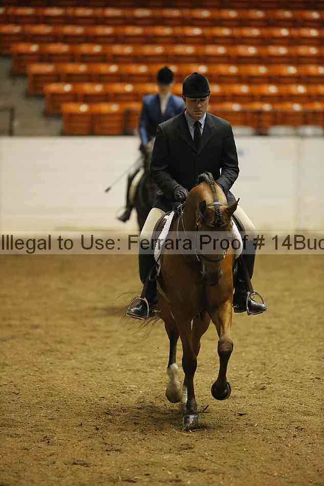 Proof 14buck_0165