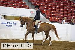 14buck_0167 proof
