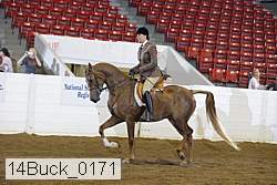 14buck_0171 proof