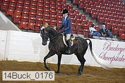 14buck_0176 proof