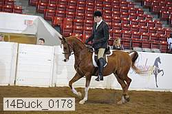 14buck_0178 proof