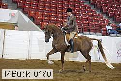 14buck_0180 proof