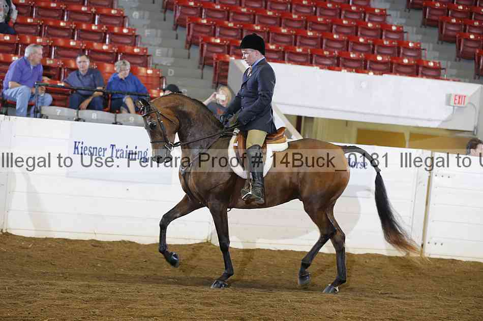 Proof 14buck_0181