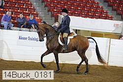 14buck_0181 proof