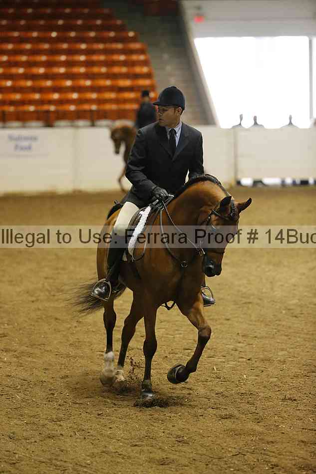 Proof 14buck_0183