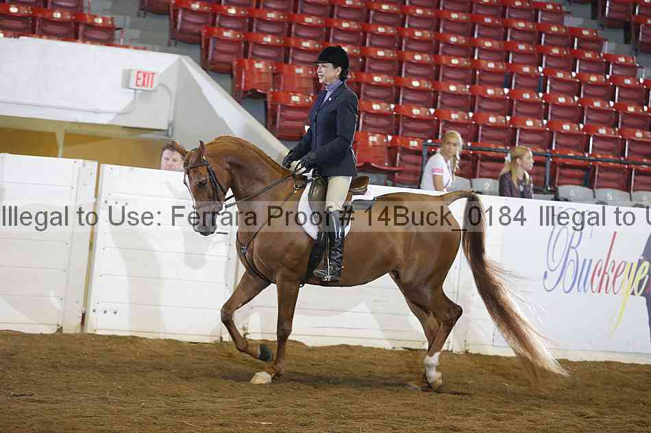 Proof 14buck_0184