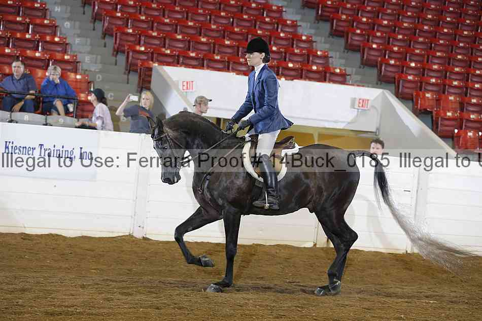 Proof 14buck_0185
