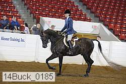 14buck_0185 proof
