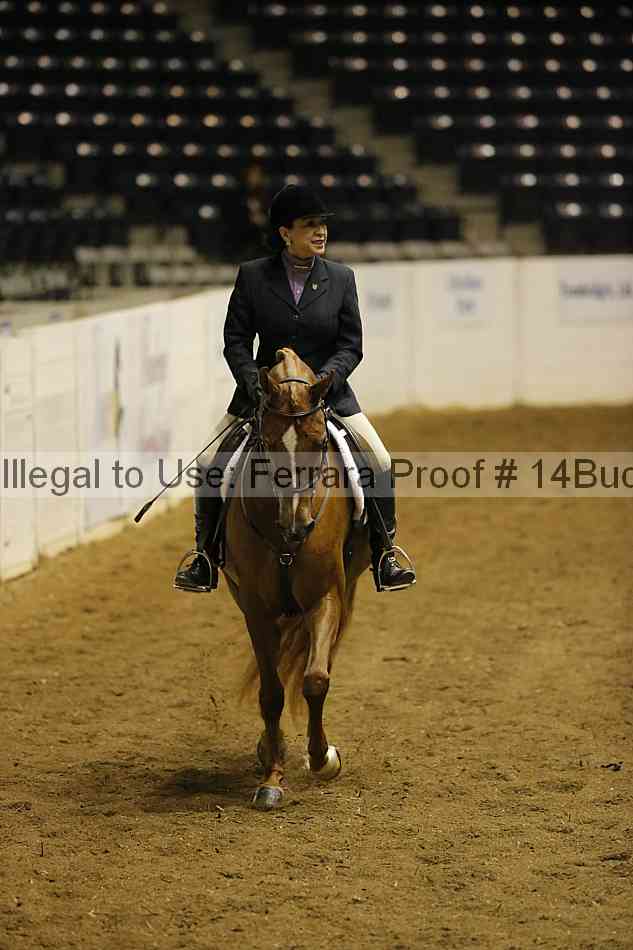 Proof 14buck_0187