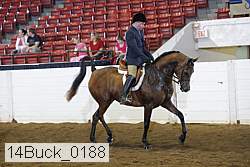 14buck_0188 proof