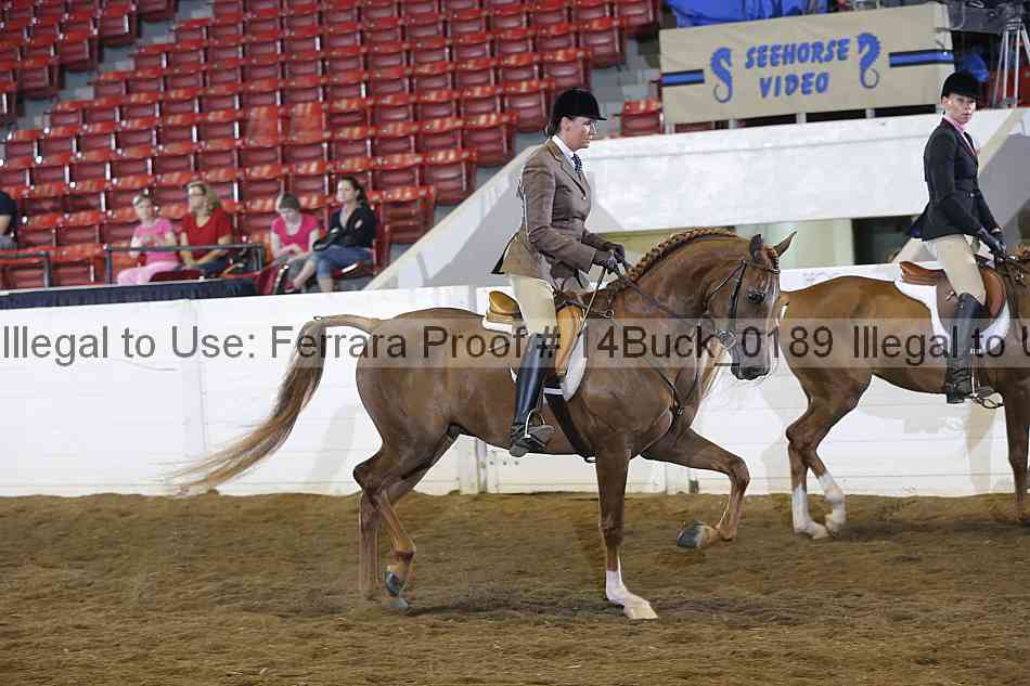 Proof 14buck_0189