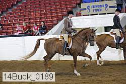 14buck_0189 proof