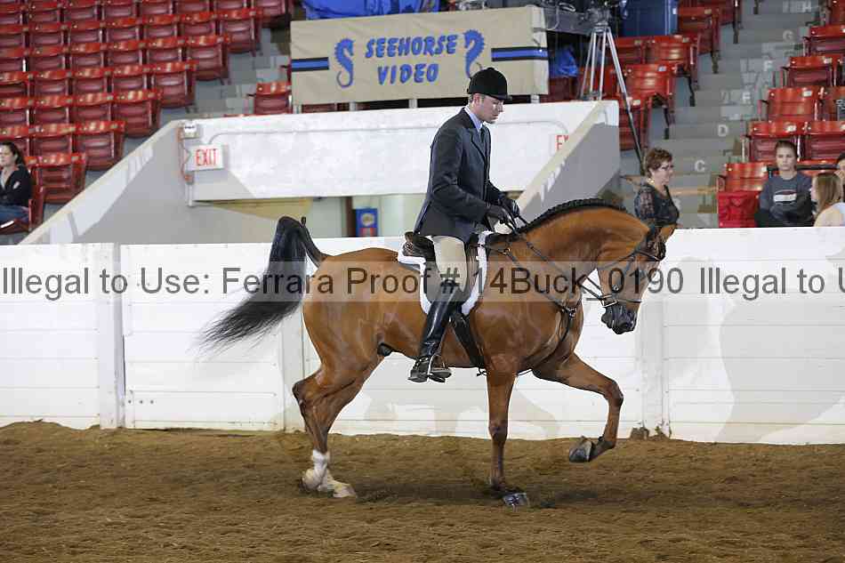 Proof 14buck_0190