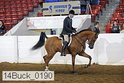 14buck_0190 proof