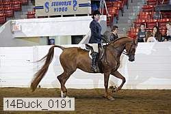 14buck_0191 proof